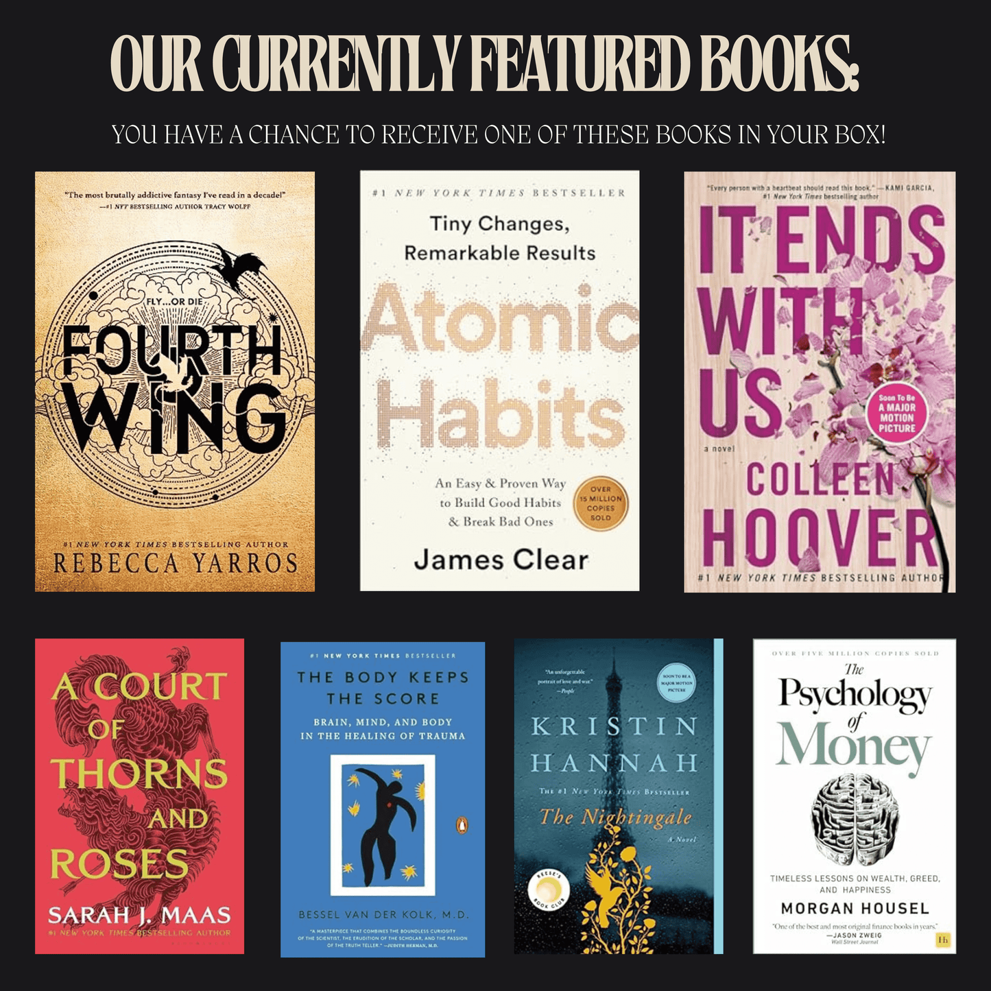 Adult Mystery Book Box