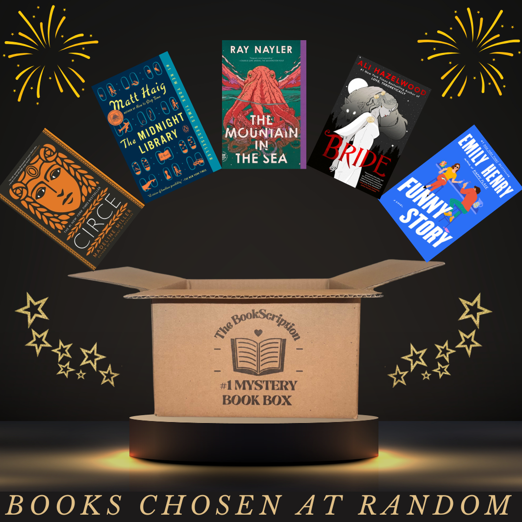 Adult Mystery Book Box