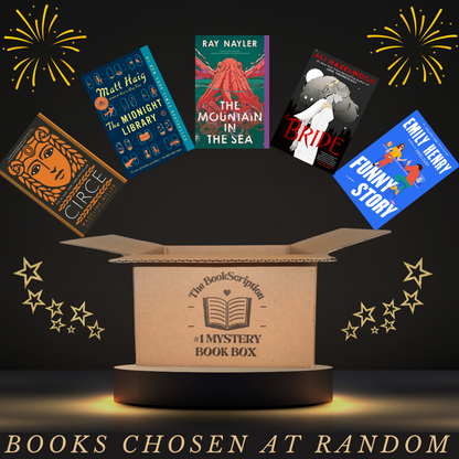 Adult Mystery Book Box